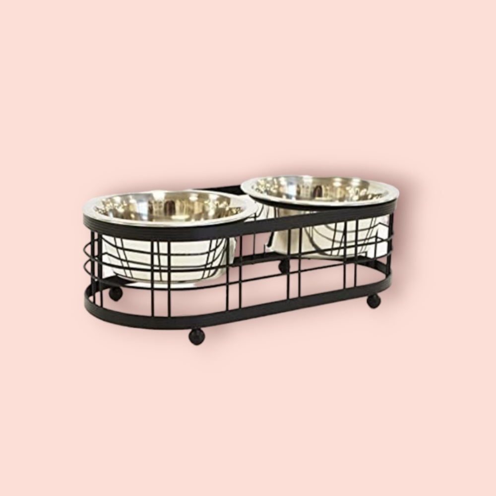 dog good bowl